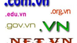 Quy định mới về quản lý tên miền tại Việt Nam theo NĐ số 27